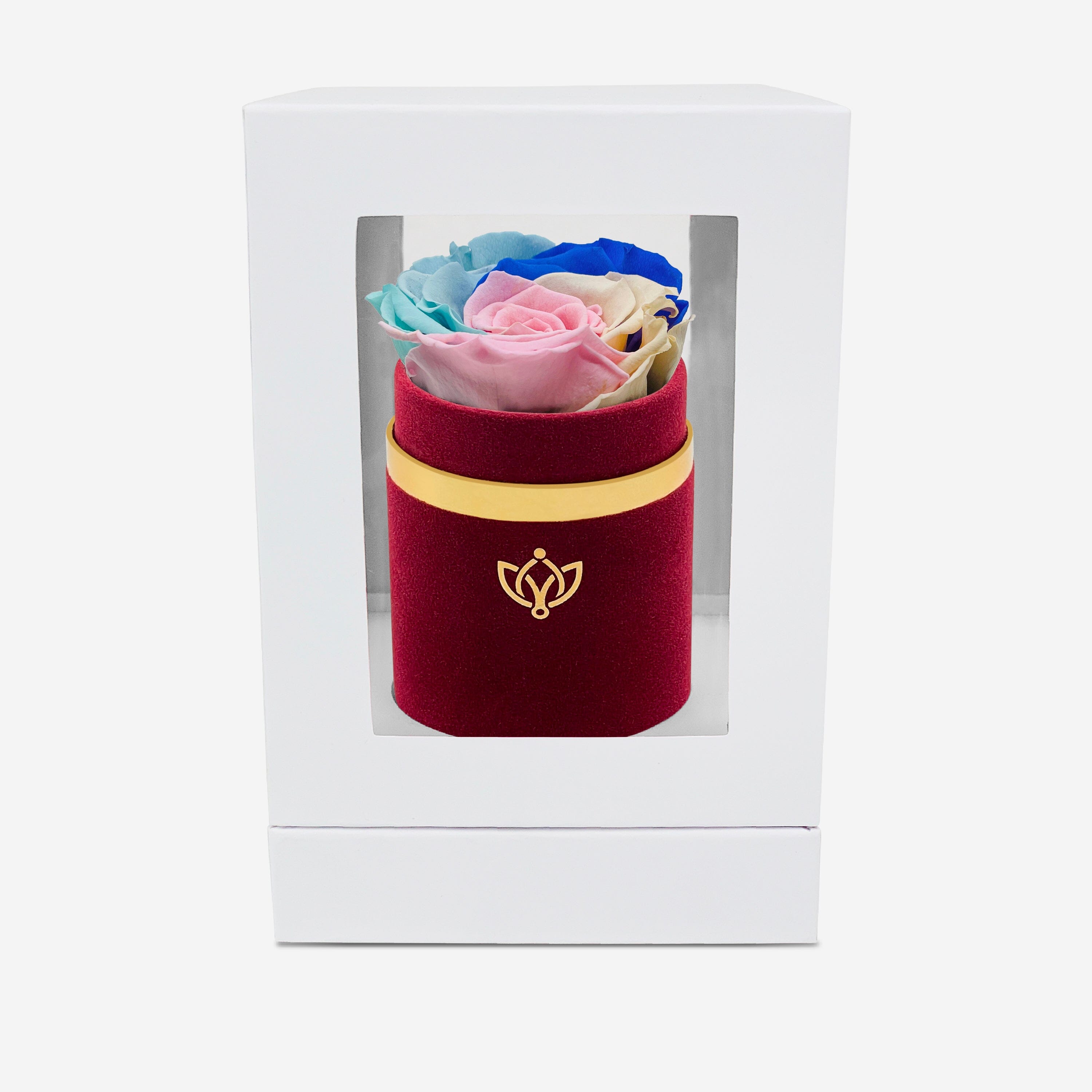 Single Bordeaux Suede Box | Pastel Rainbow Rose - The Million Roses