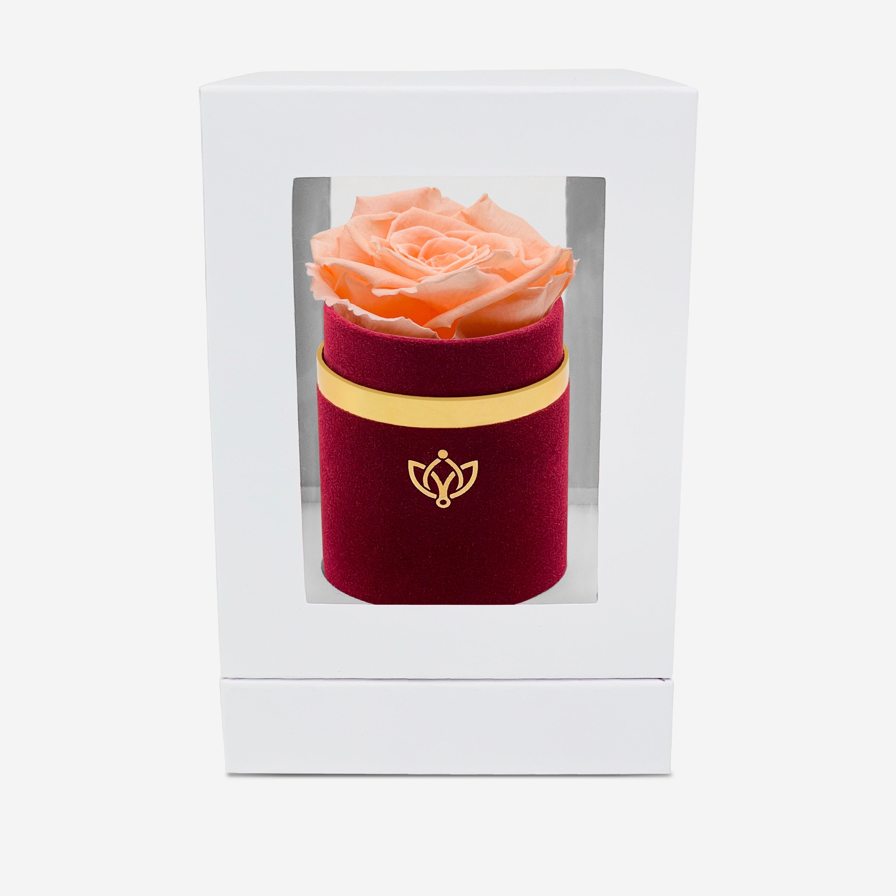 Single Bordeaux Suede Box | Peach Rose - The Million Roses