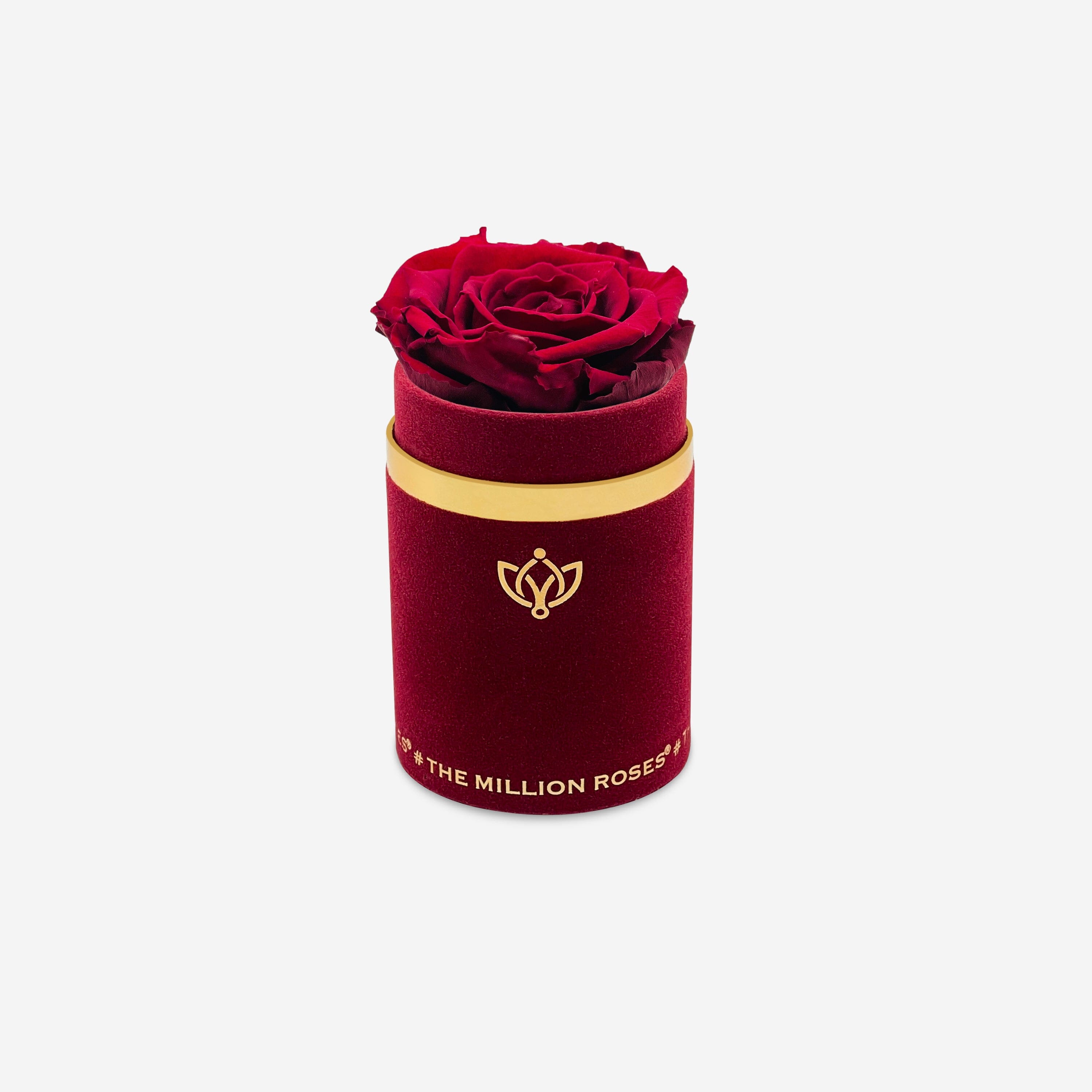 Single Bordeaux Suede Box | Burgundy Rose - The Million Roses