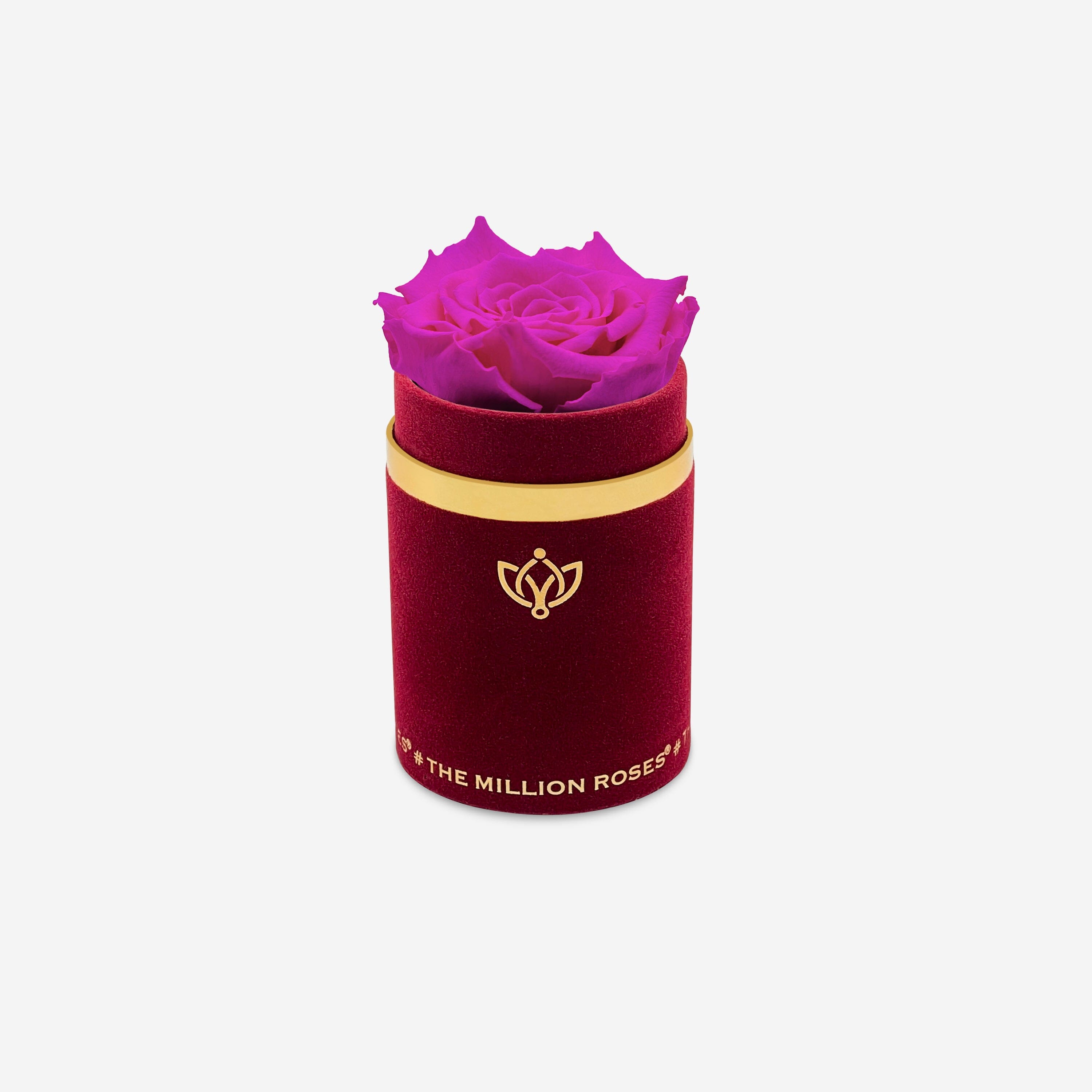 Single Bordeaux Suede Box | Neon Pink Rose - The Million Roses