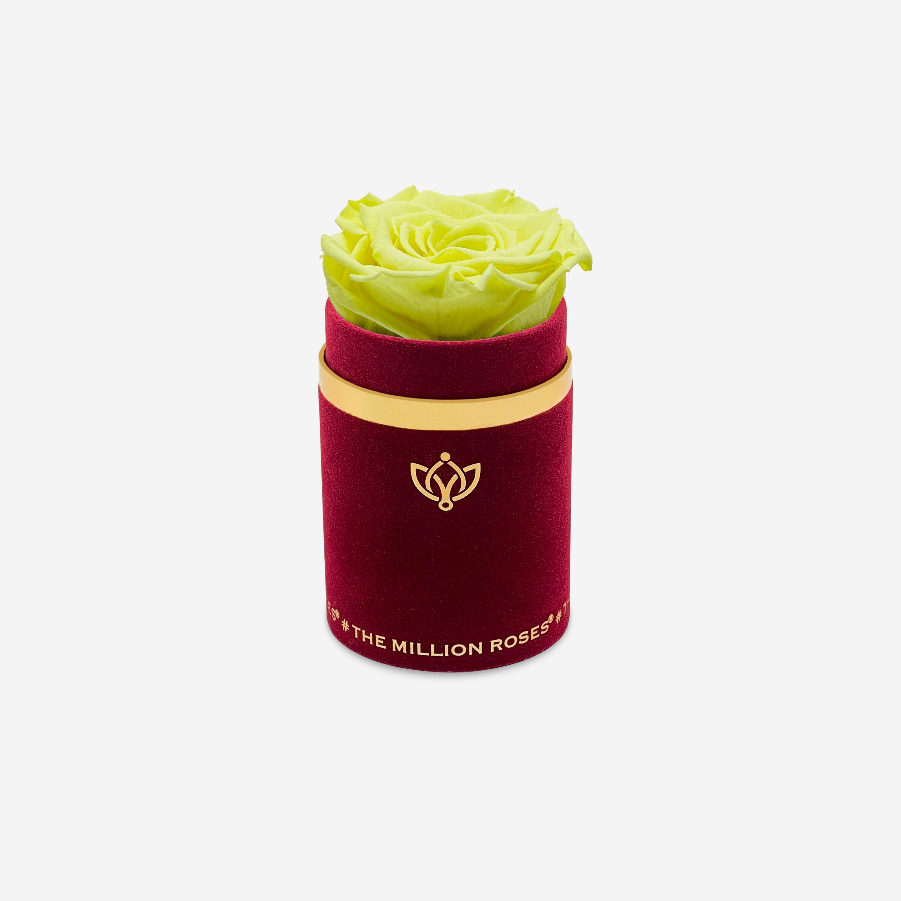 Single Bordeaux Suede Box | Canary Yellow Rose - The Million Roses