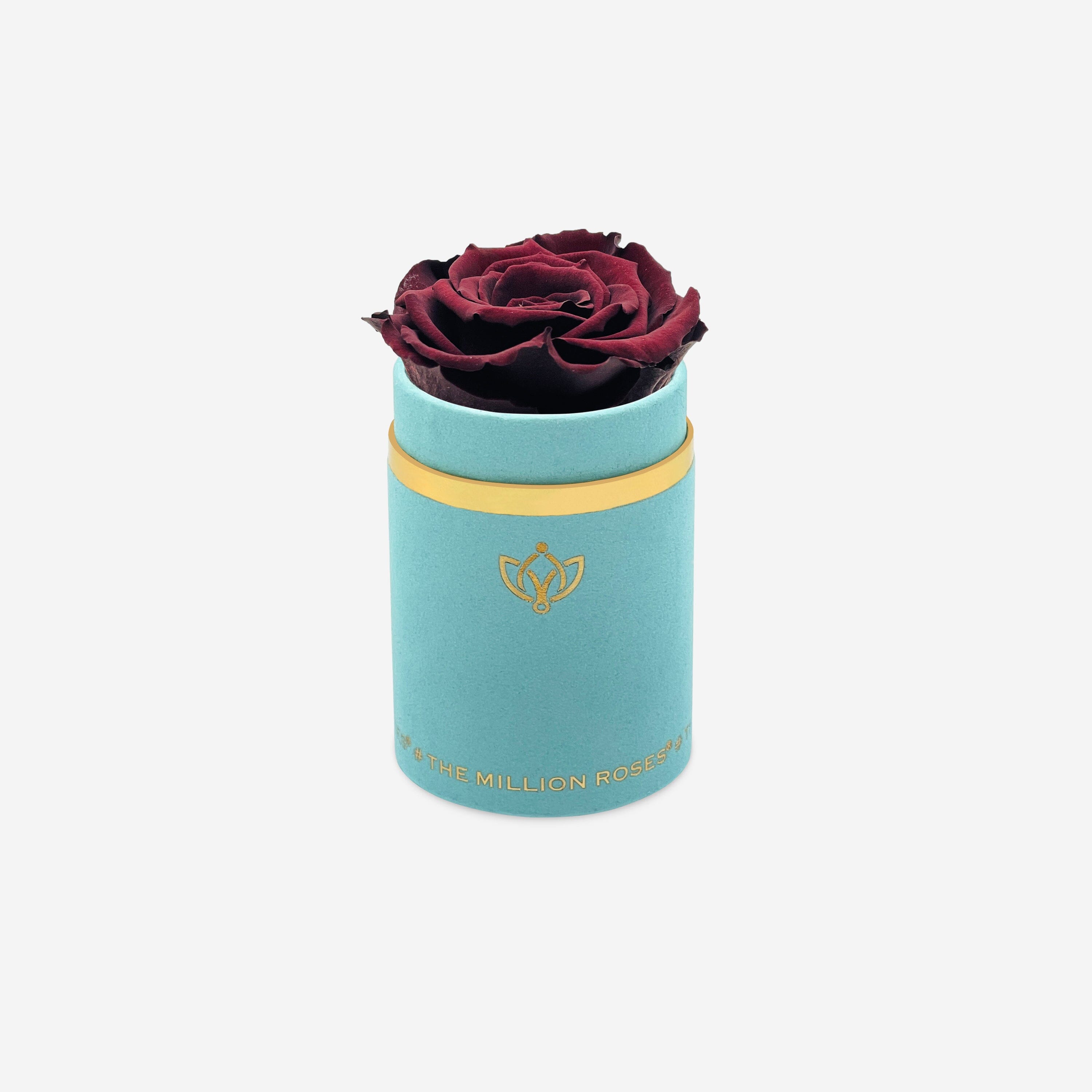 Single Mint Green Suede Box | Mahogany Rose - The Million Roses