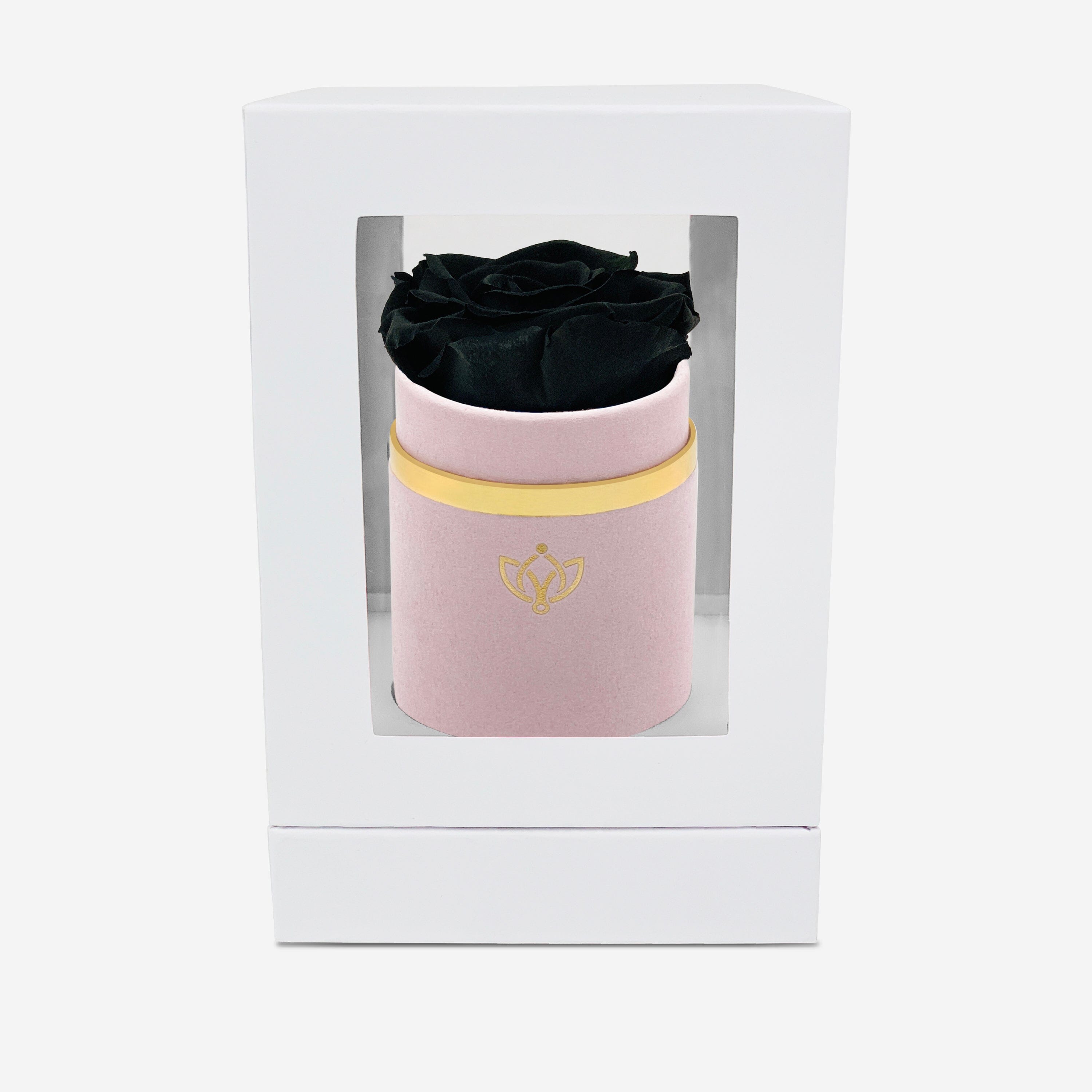 Single Light Pink Suede Box | Black Rose - The Million Roses