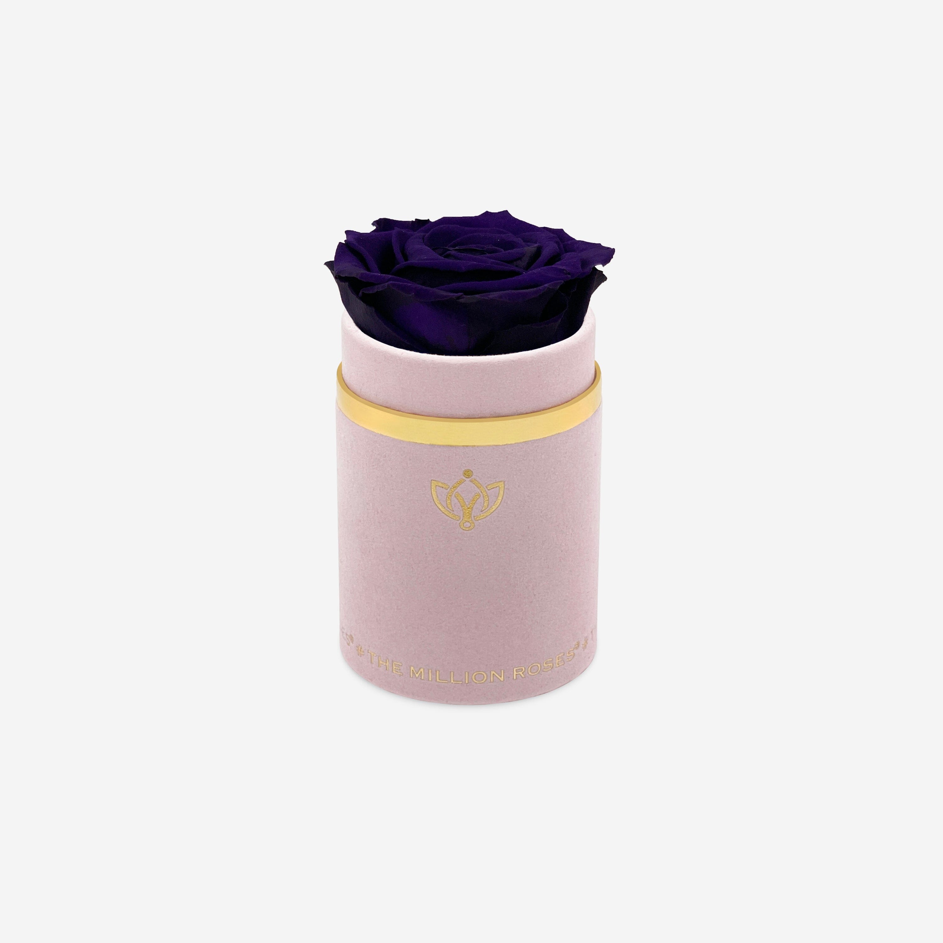 Single Light Pink Suede Box | Dark Purple Rose - The Million Roses