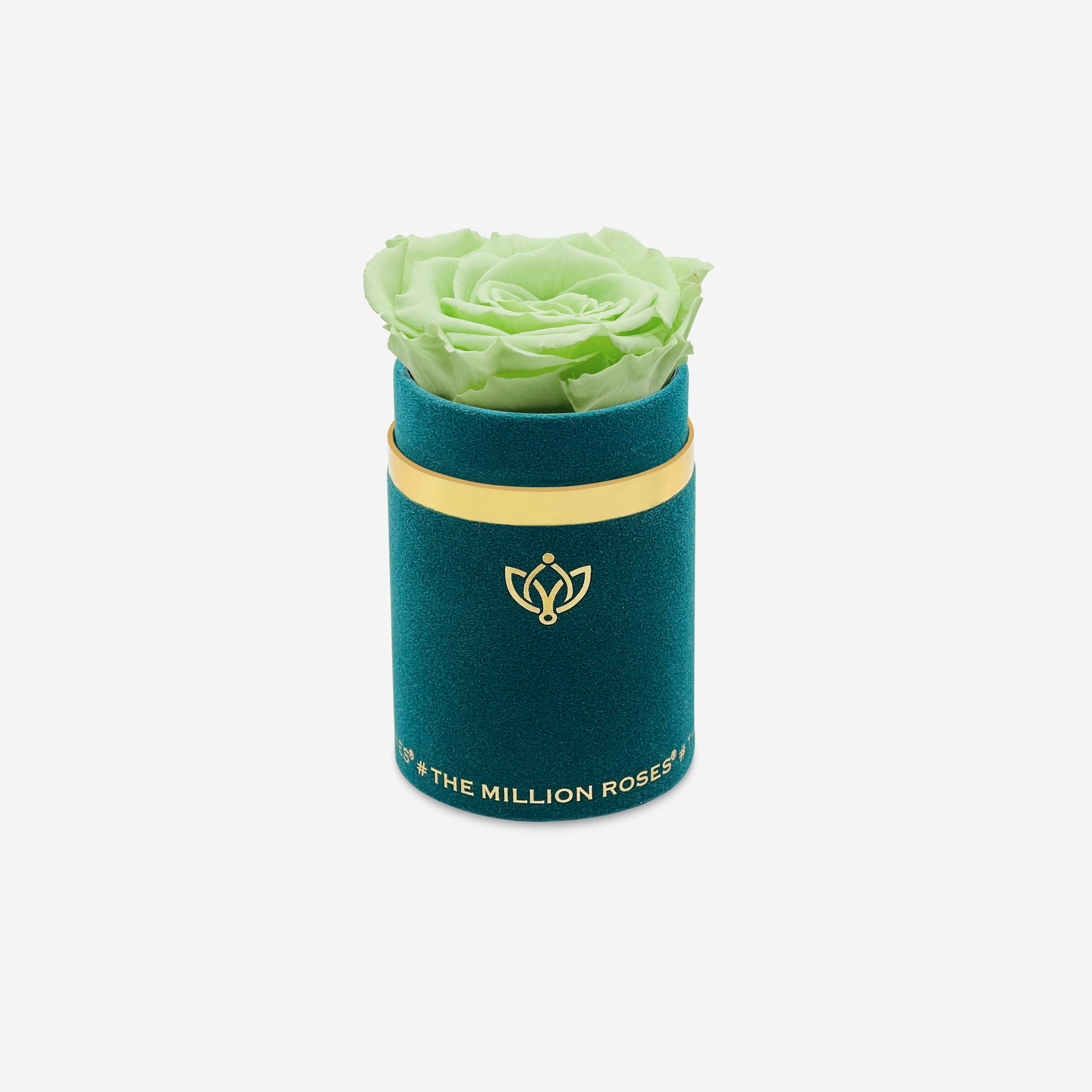 Single Dark Green Suede Box | Mint Green Rose - The Million Roses