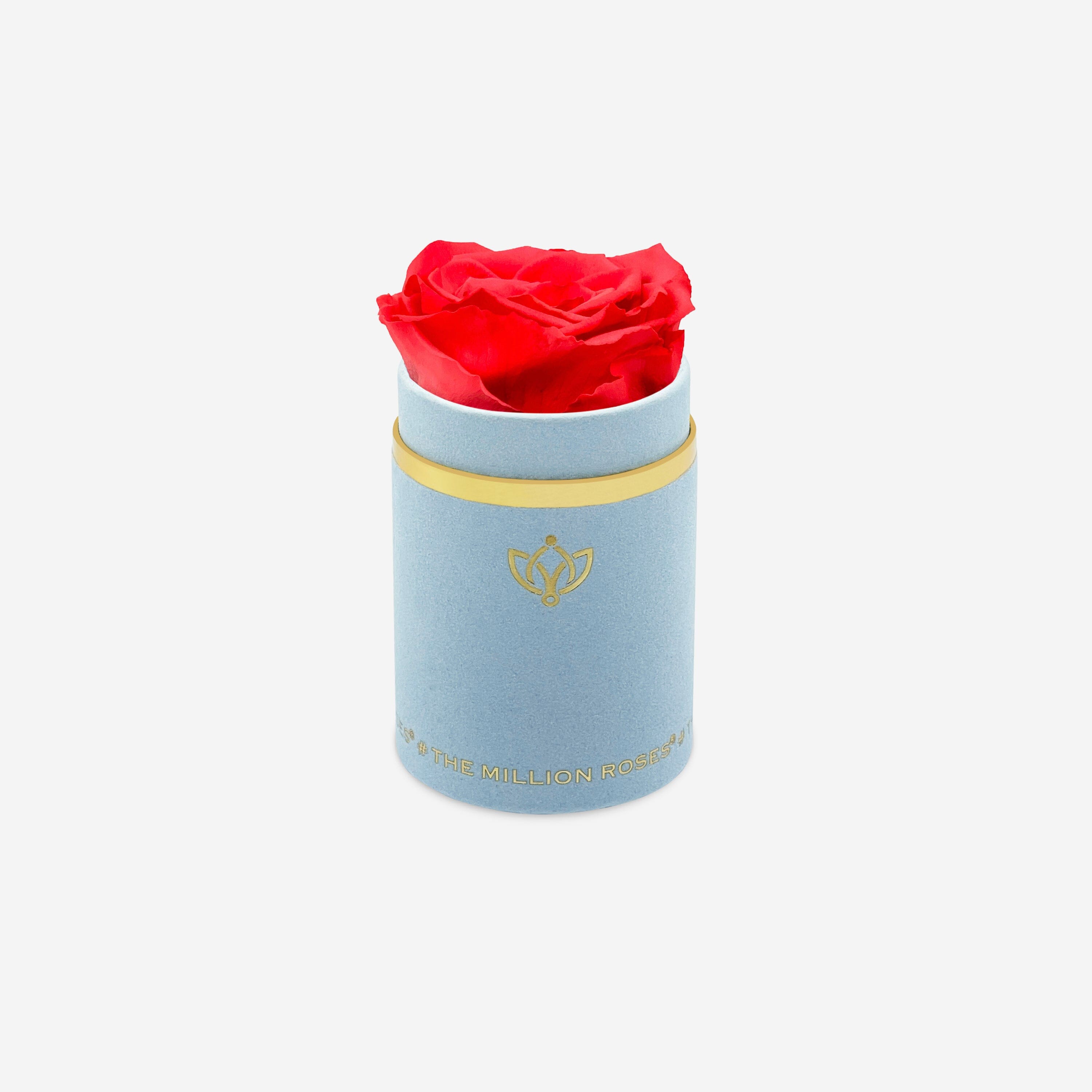 Single Light Blue Suede Box | Coral Rose - The Million Roses