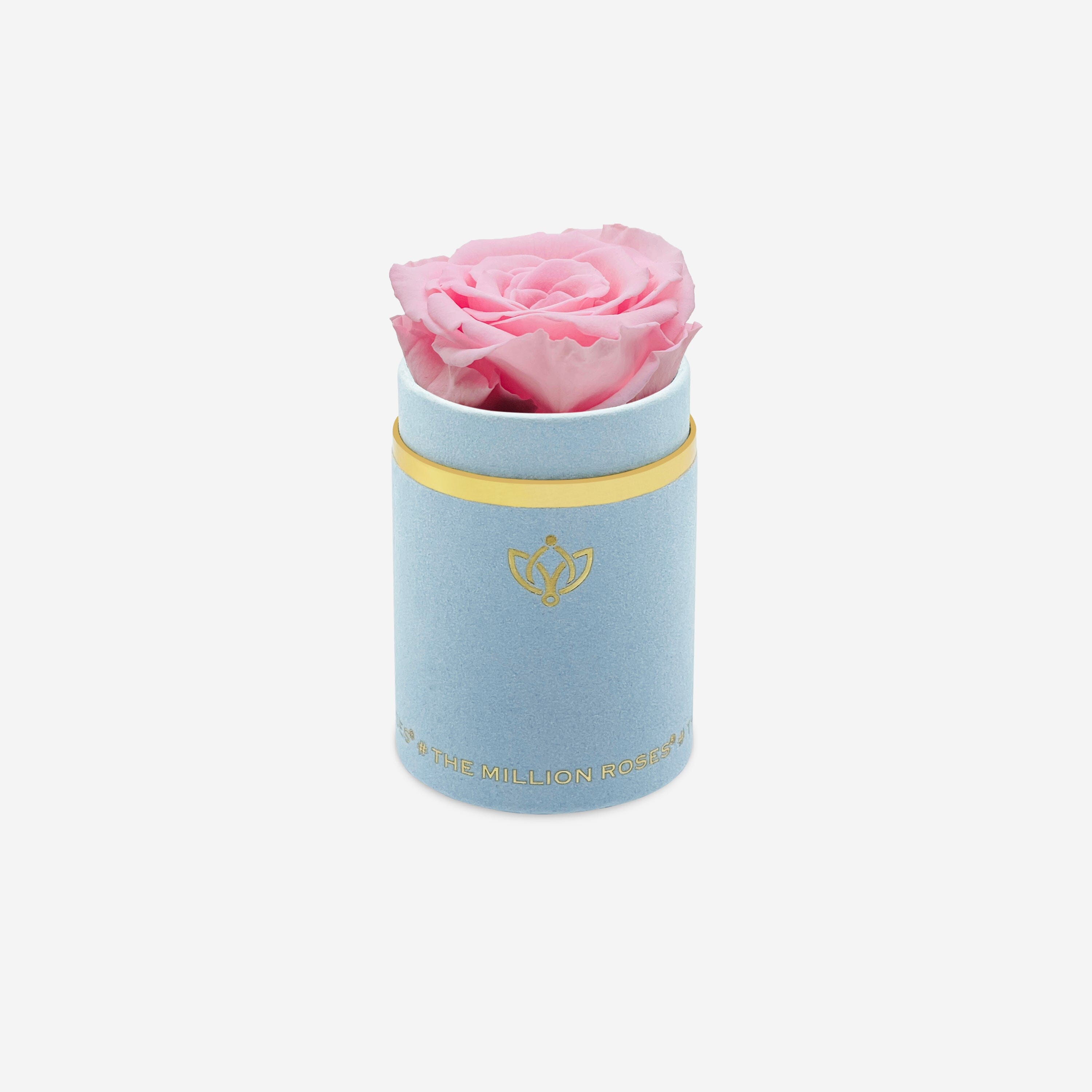 Single Light Blue Suede Box | Light Pink Rose - The Million Roses