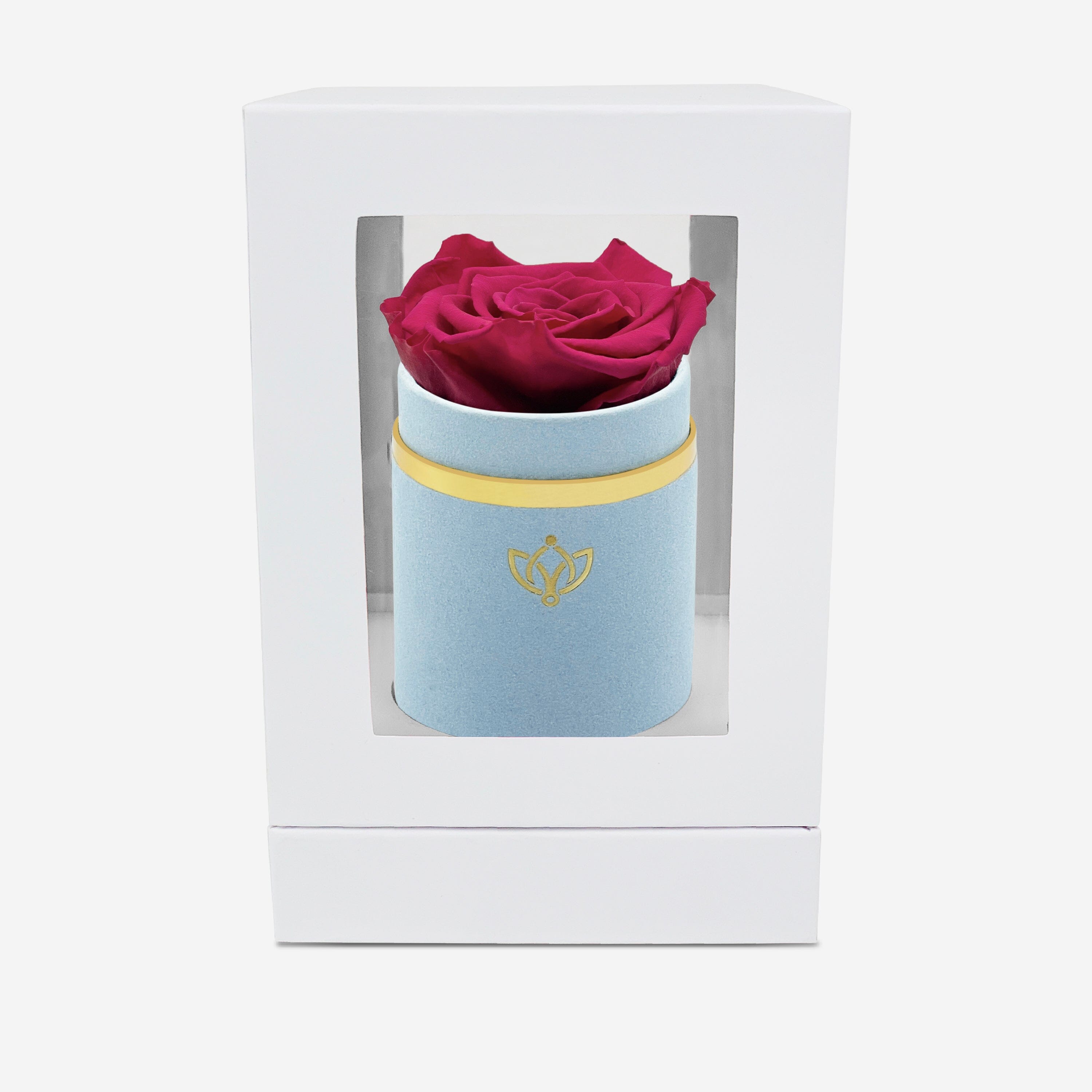 Single Light Blue Suede Box | Magenta Rose - The Million Roses