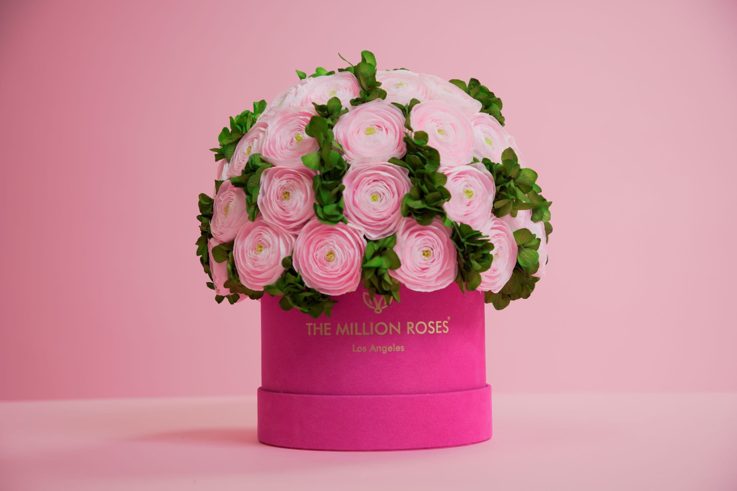 Classic Hot Pink Suede Box | Light Pink Persian Buttercups & Green Hydrangeas - The Million Roses