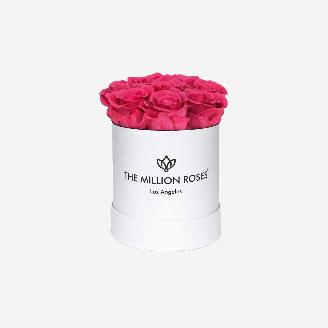 Basic White Box | Coral Roses - The Million Roses