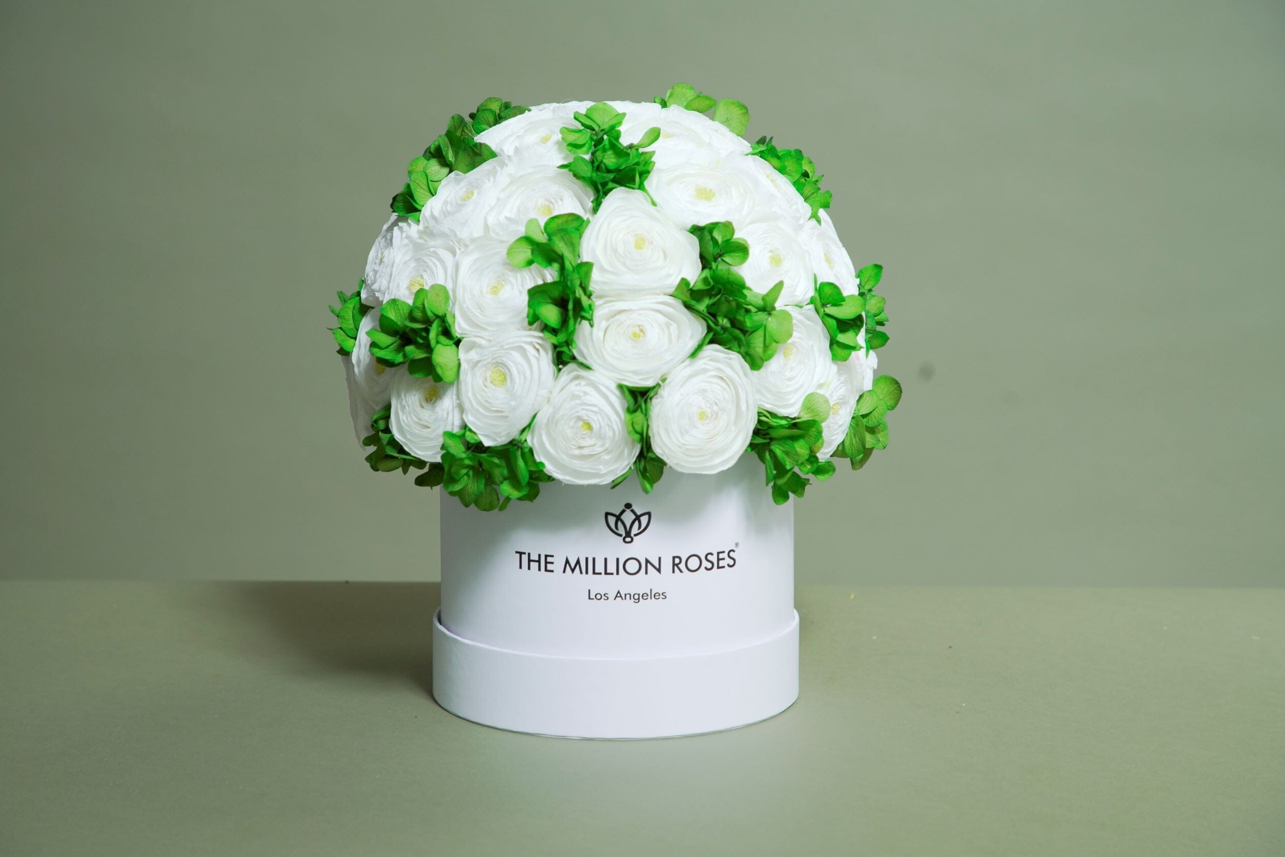 Classic Dark Green Suede Box | White Persian Buttercups & Green Hydrangeas - The Million Roses