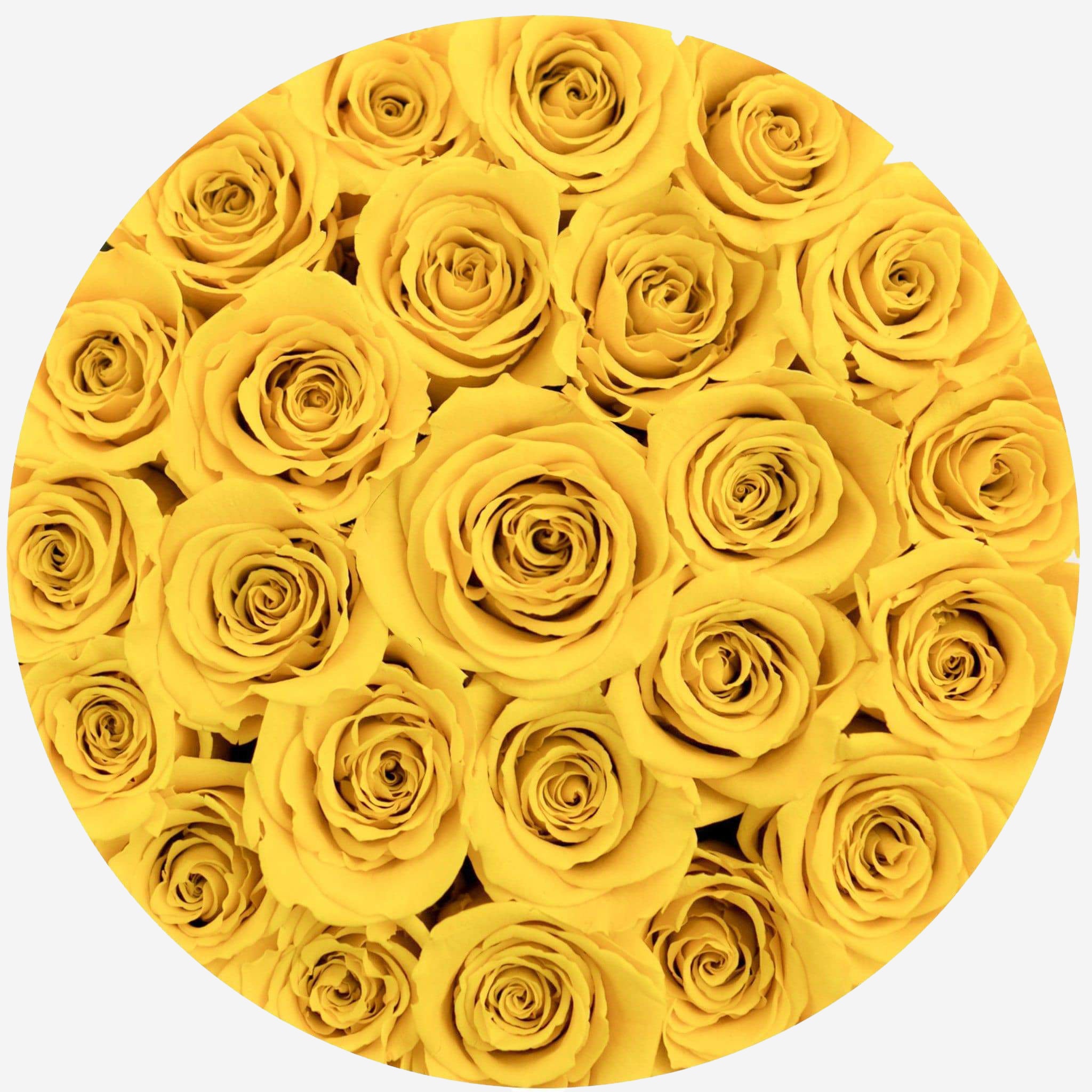 Classic Black Box | Yellow Roses - The Million Roses