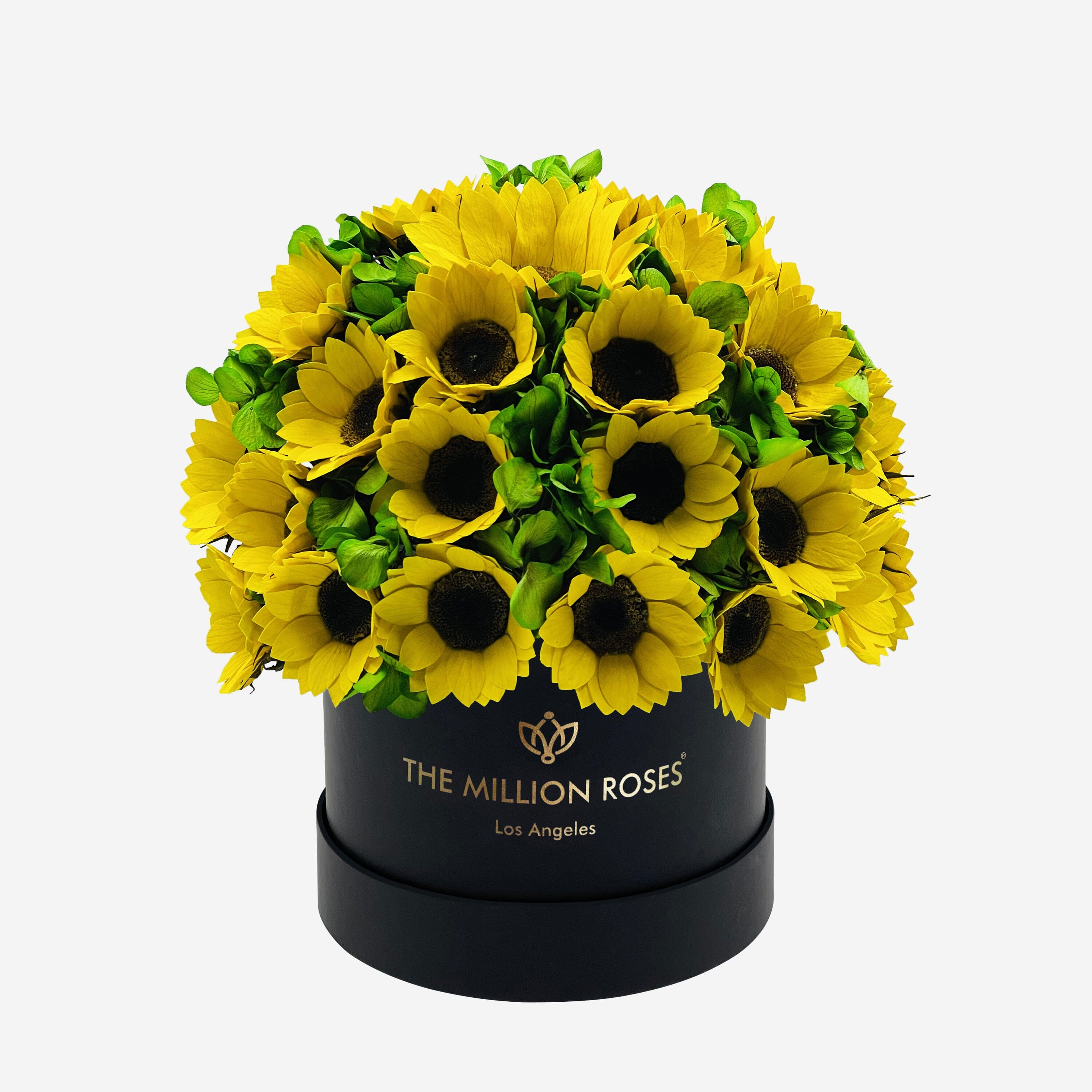 Classic Black Box | Sunflowers & Green Hydrangeas - The Million Roses