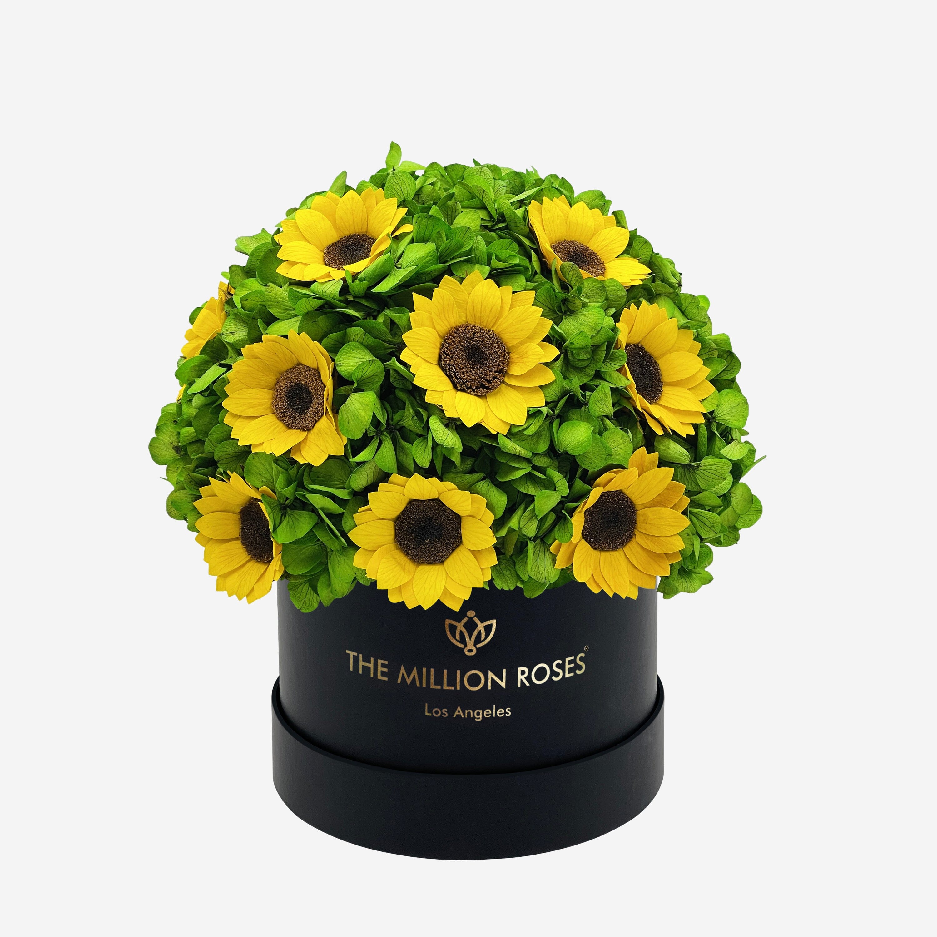 Classic Black Box | Green Hydrangeas & Sunflowers - The Million Roses