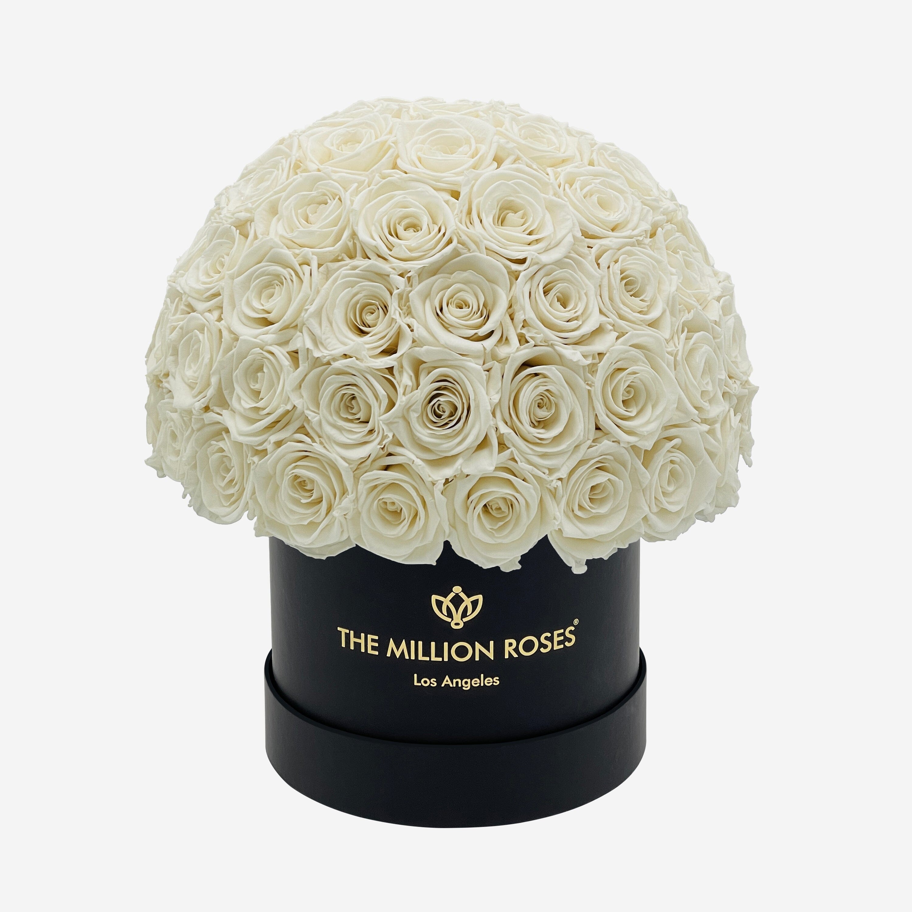 Classic Black Superdome Box | White Roses - The Million Roses