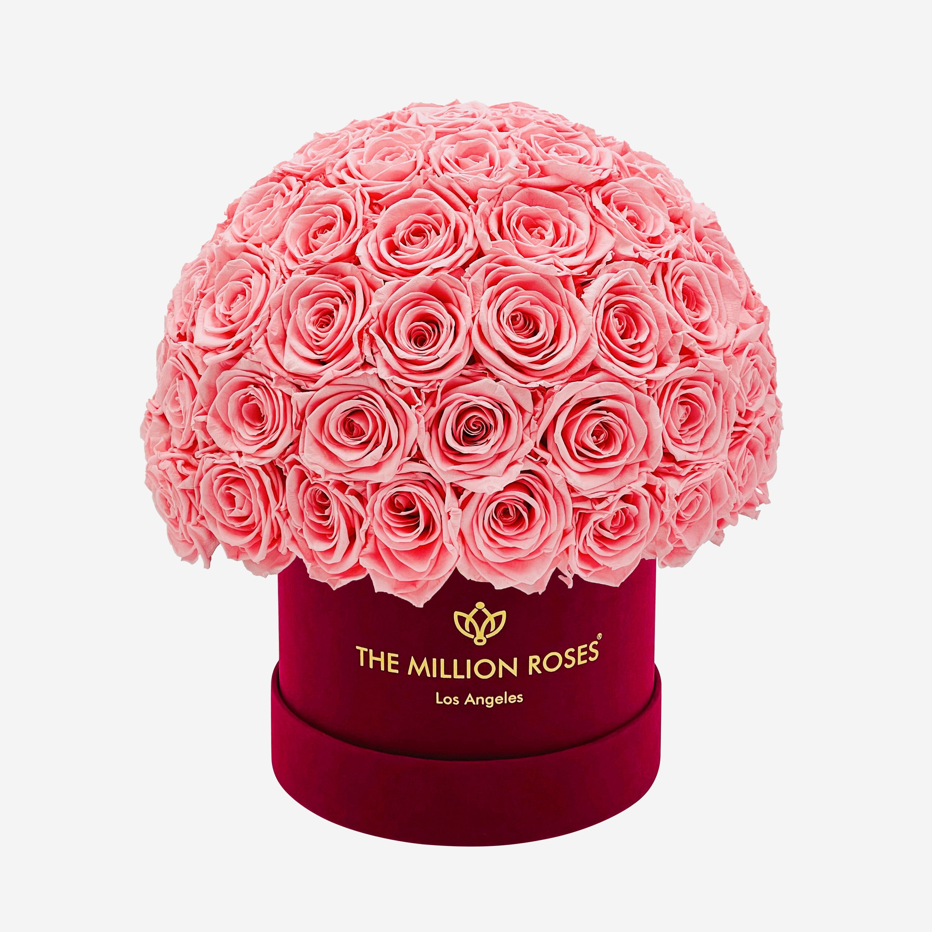 Classic Bordeaux Suede Superdome Box | Light Pink Roses - The Million Roses