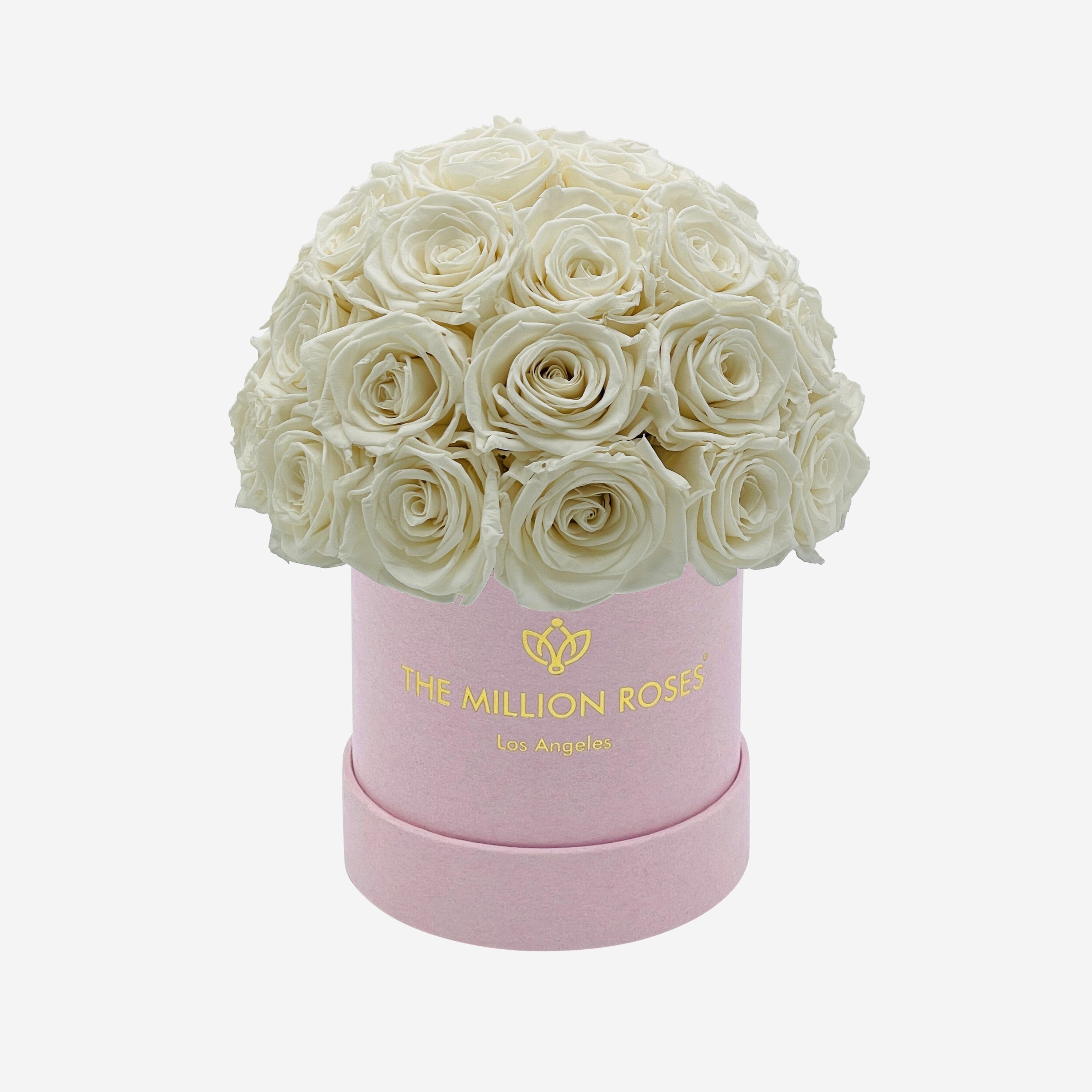 Basic Light Pink Suede Superdome Box | White Roses - The Million Roses