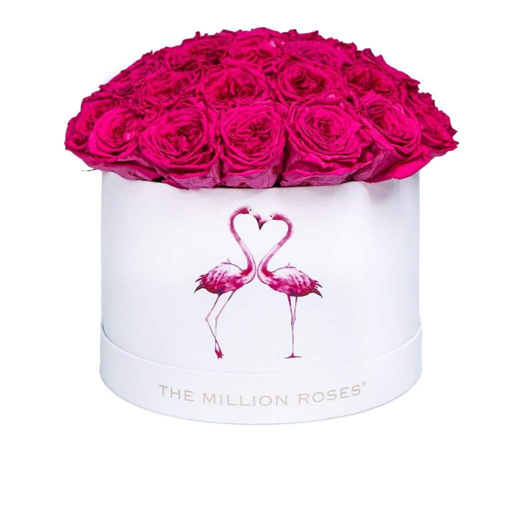 Supreme White Dome Box | Flamingo Edition | Hot Pink Garden Roses - The Million Roses