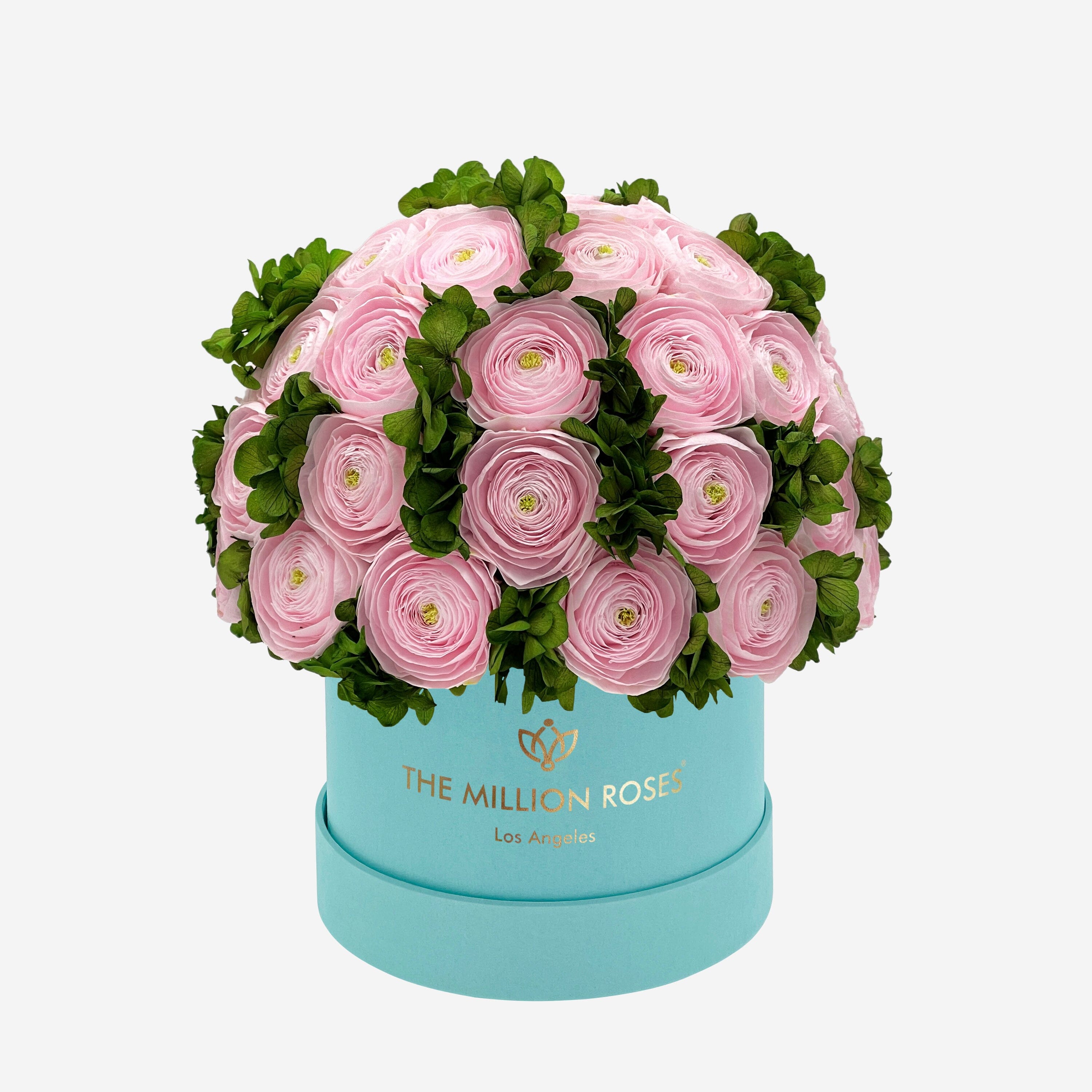 Classic Mint Green Suede Box | Light Pink Persian Buttercups & Green Hydrangeas - The Million Roses