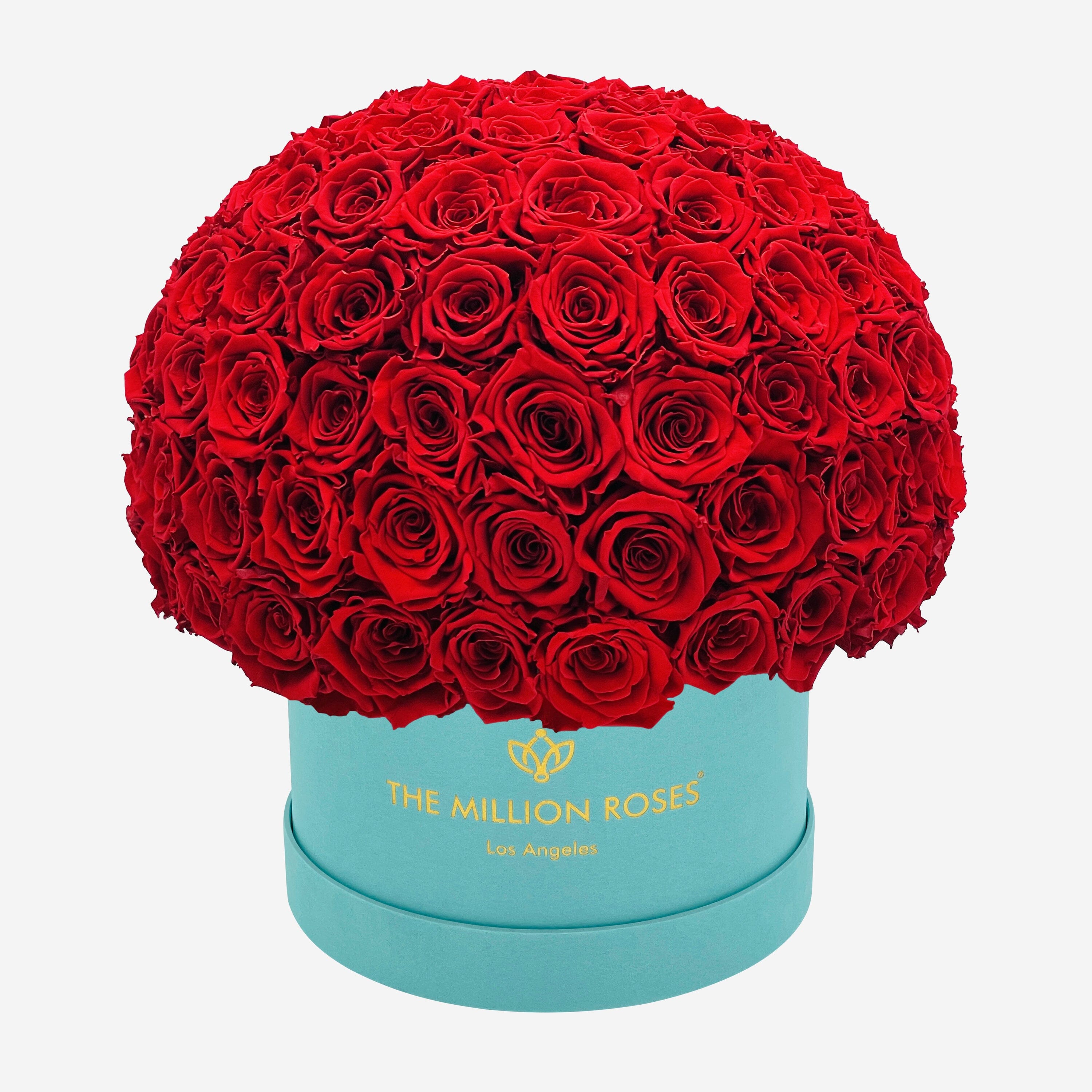 Supreme Mint Green Suede Superdome Box | Red Roses - The Million Roses