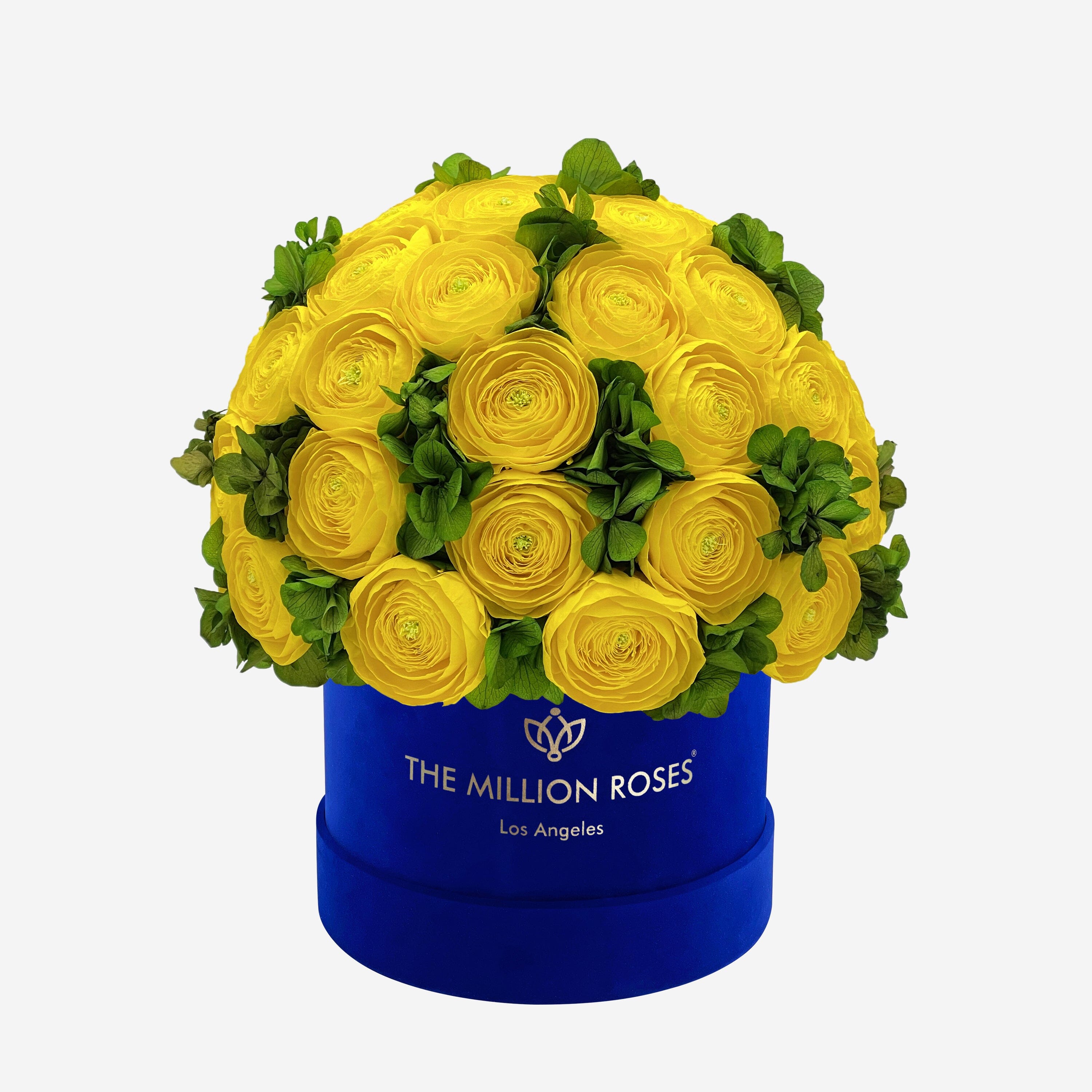 Classic Royal Blue Suede Box | Yellow Persian Buttercups & Green Hydrangeas - The Million Roses