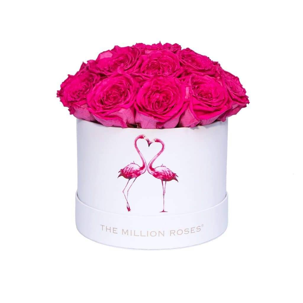 Classic White Dome Box | Flamingo Edition | Hot Pink Garden Roses - The Million Roses